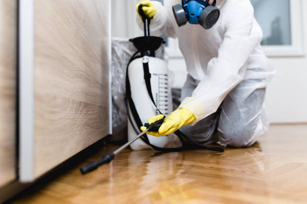 Best Affordable Pest Control Services  in Galliano, LA