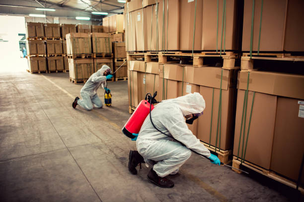 Best Pest Control for Businesses  in Galliano, LA