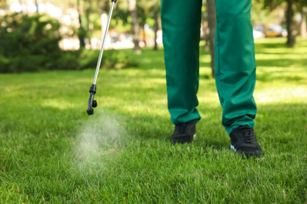 Best Affordable Pest Control Services  in Galliano, LA