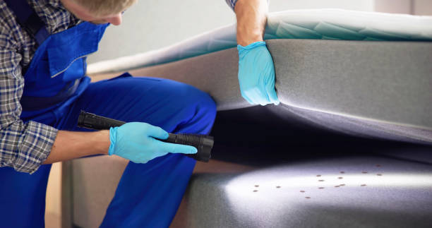 Best Pest Removal Services  in Galliano, LA