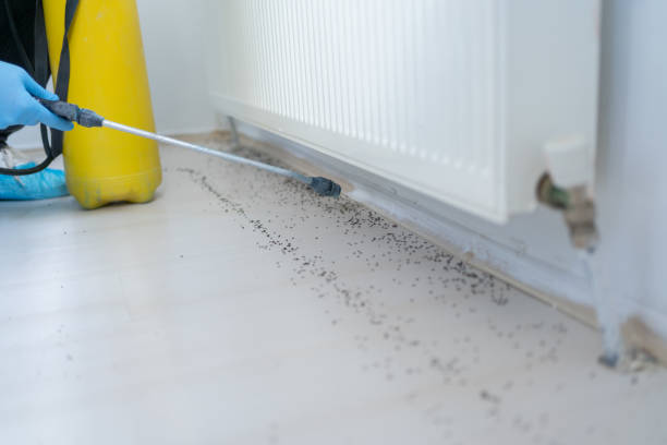 Best Best Pest Control Companies  in Galliano, LA