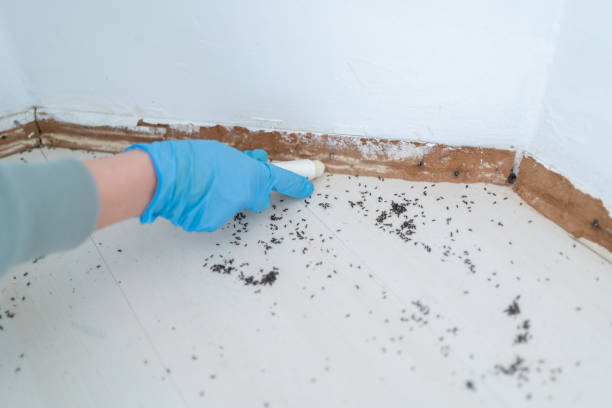 Best Commercial Pest Control Services  in Galliano, LA