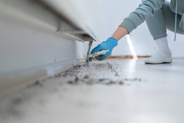 Best Exterminator Services  in Galliano, LA